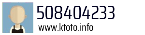 508404233