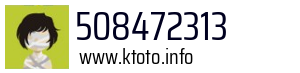 508472313