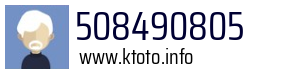 508490805