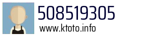 508519305
