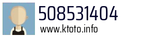 508531404