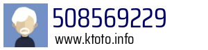 508569229