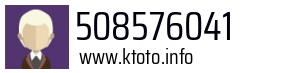 508576041