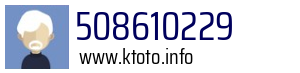 508610229