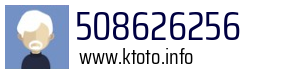 508626256