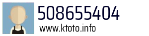 508655404