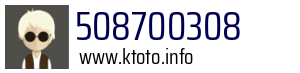 508700308