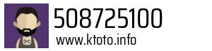 508725100