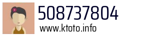 508737804