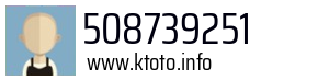 508739251