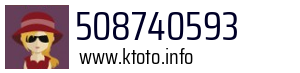 508740593
