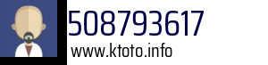 508793617