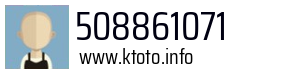 508861071