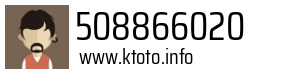 508866020