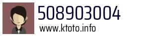 508903004