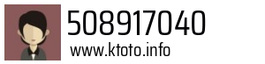 508917040