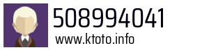 508994041