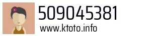 509045381