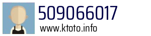 509066017