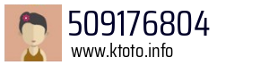 509176804