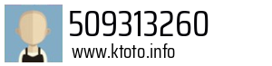 509313260