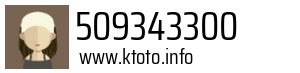 509343300