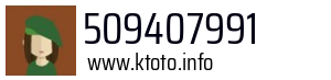 509407991