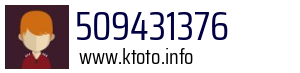 509431376