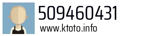 509460431