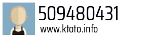 509480431