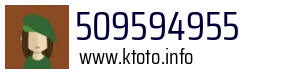 509594955