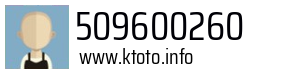 509600260