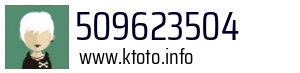 509623504