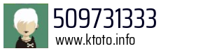 509731333
