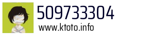 509733304