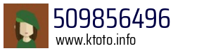 509856496