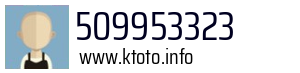 509953323
