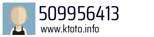 509956413