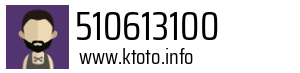 510613100