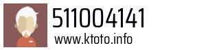 511004141
