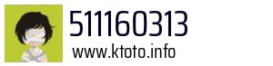 511160313