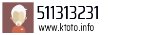 511313231