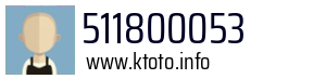 511800053