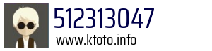 512313047