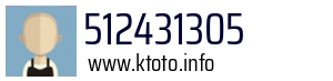 512431305