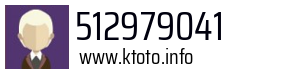 512979041