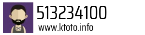 513234100