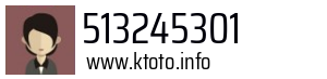 513245301