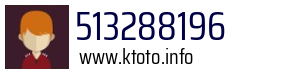 513288196