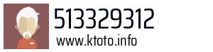 513329312